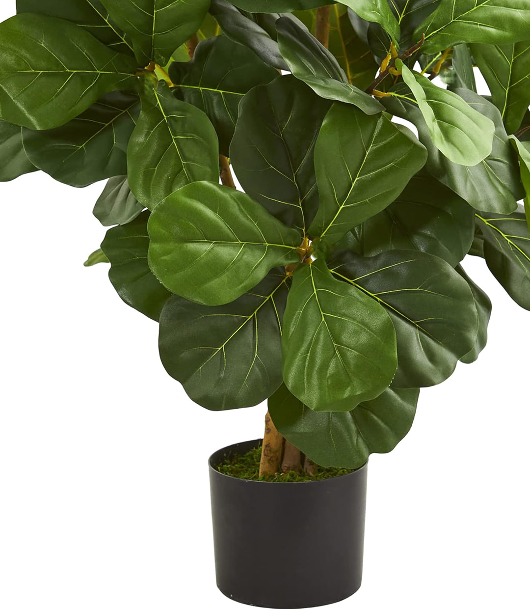 Aliquam furniture - Image 2