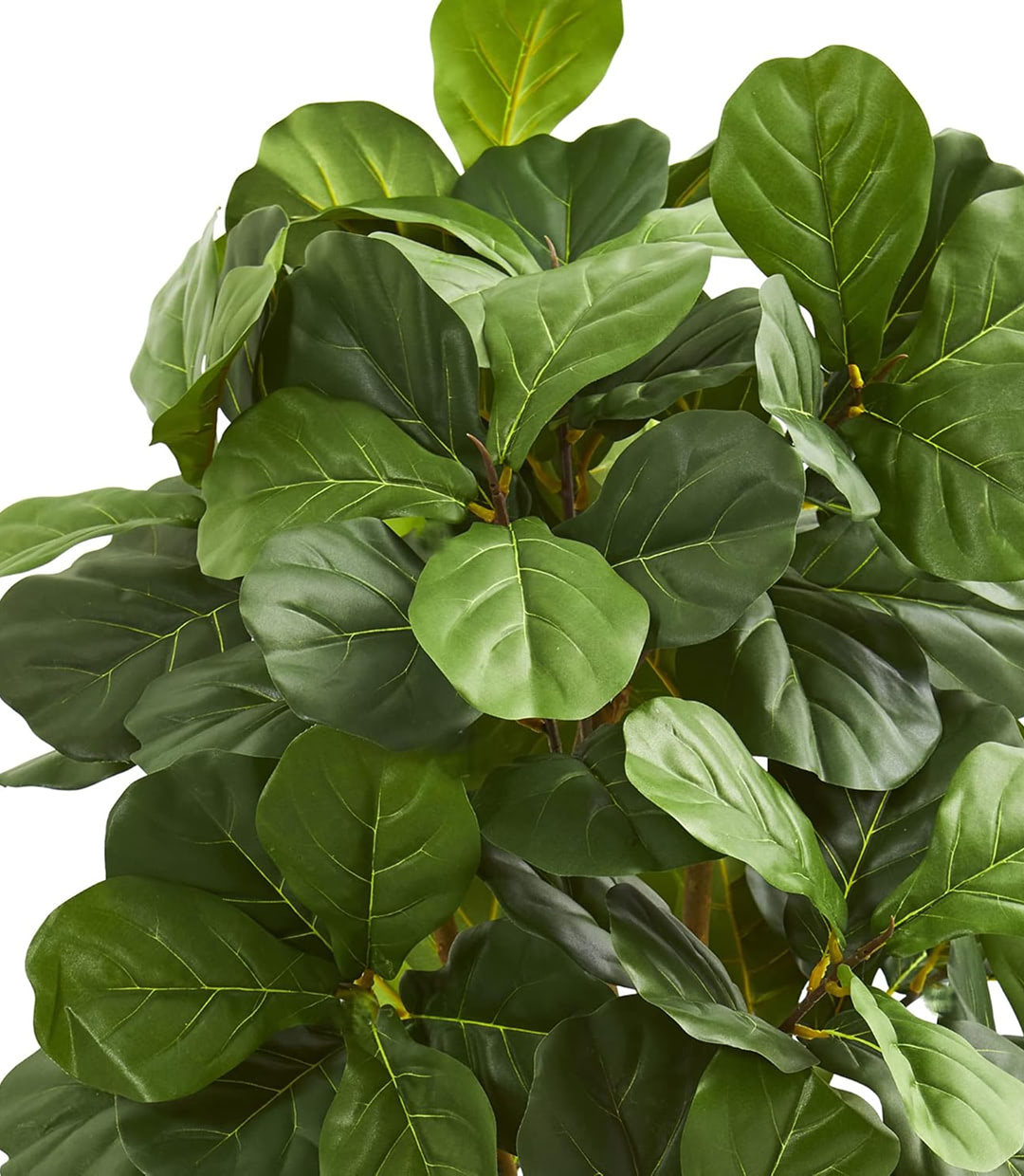 Aliquam furniture - Image 3