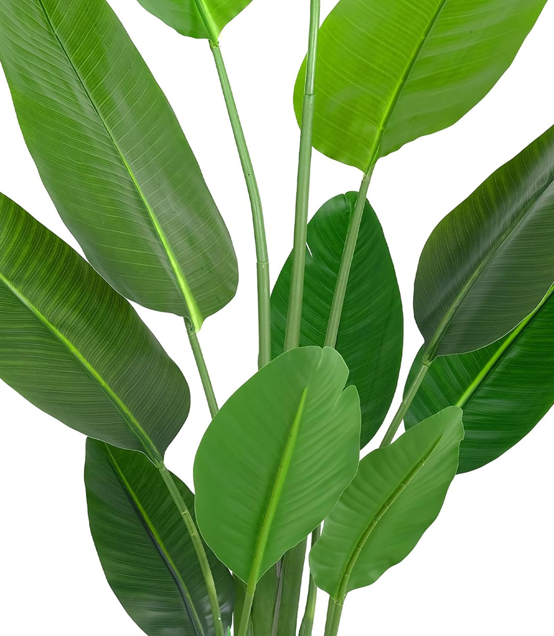 Convallis quam sit - Image 2